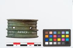 Foto von Bronzedosenortband (NHMW-PRAE-026407)